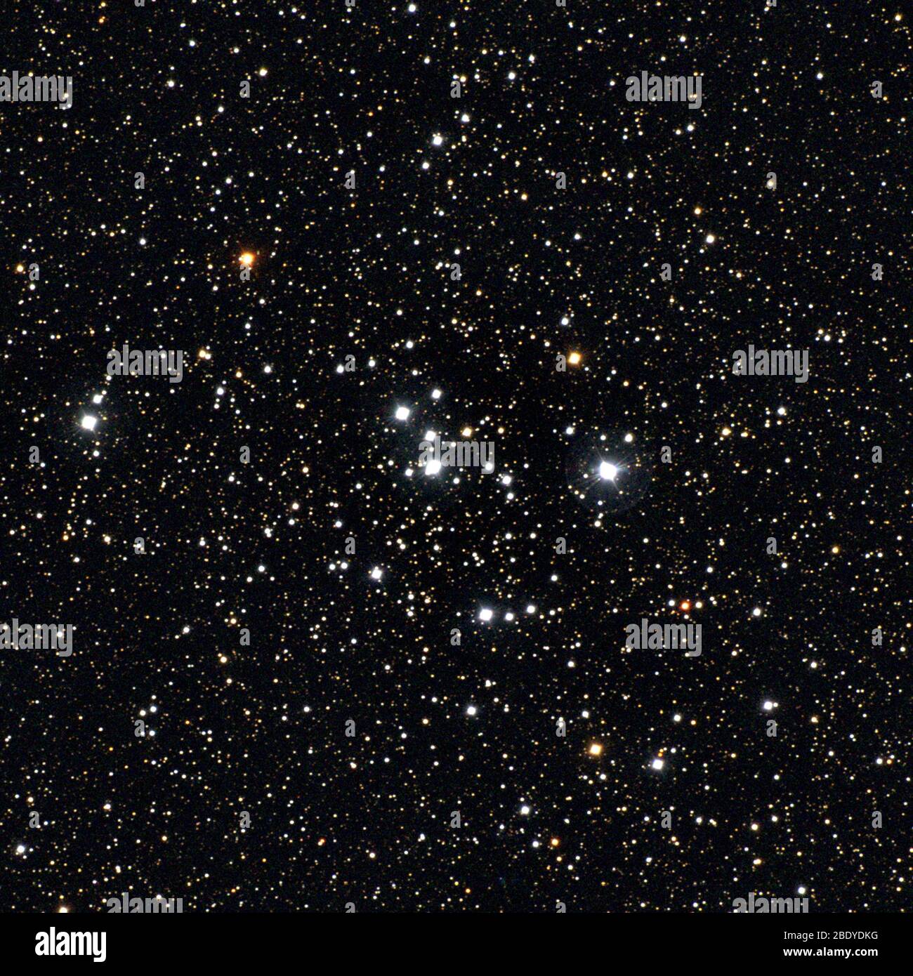 Offener Sternhaufen, M47, NGC 2422 Stockfoto