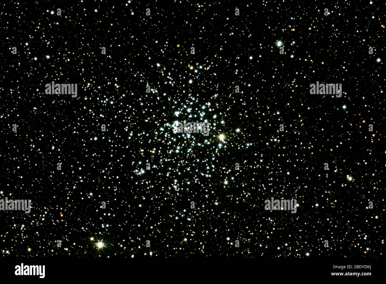 Offener Sternhaufen, M52, NGC 7654 Stockfoto