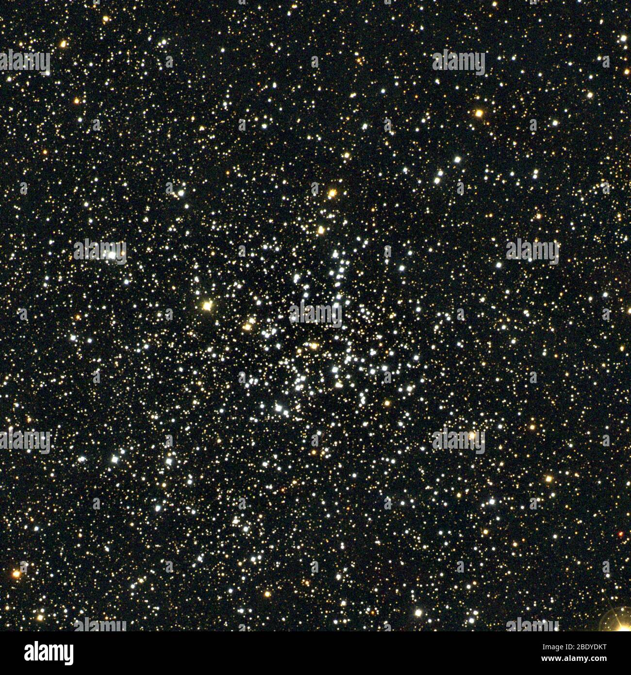 Offener Sternhaufen, M38, NGC 1912 Stockfoto