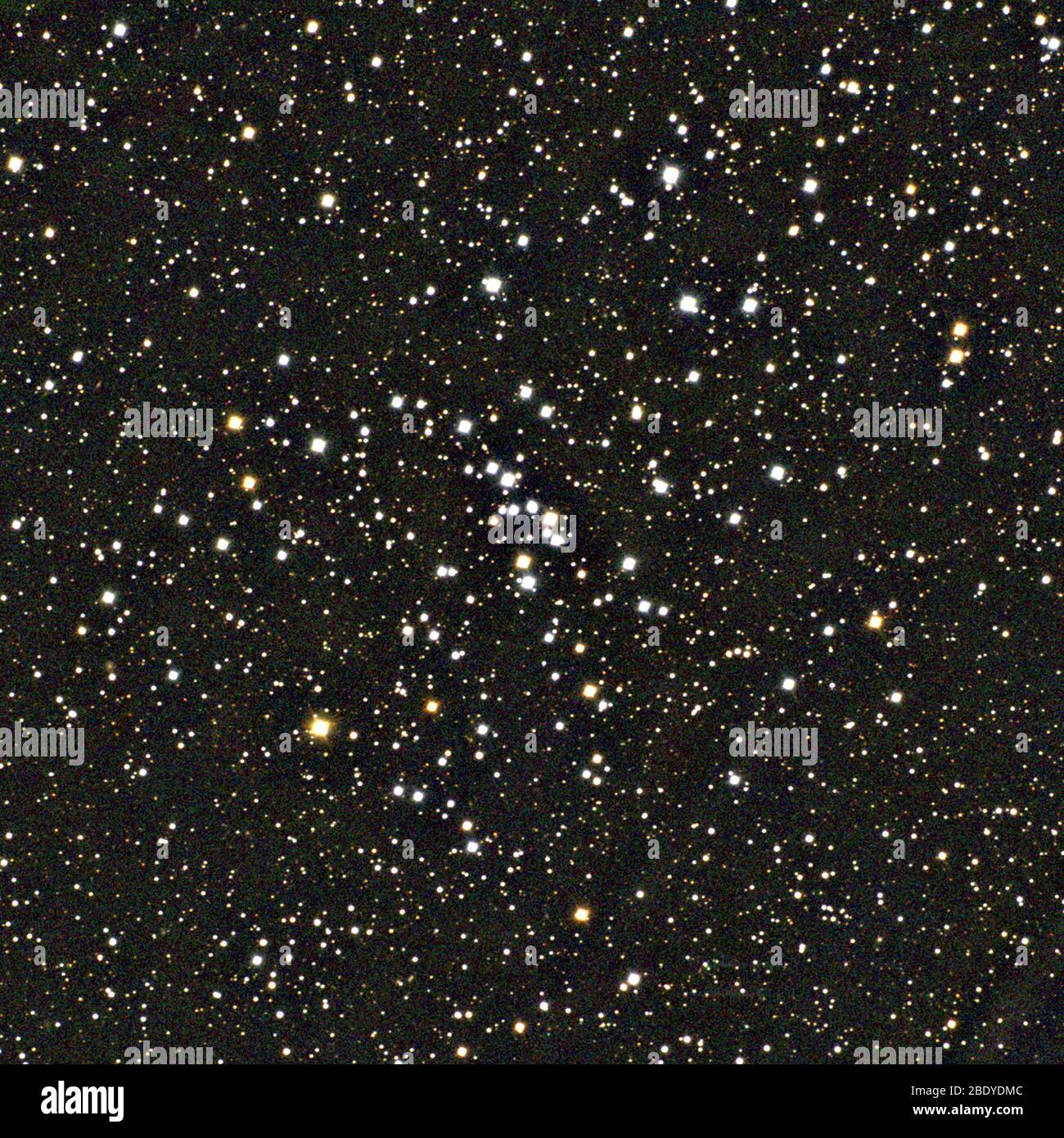 Offener Sternhaufen, M48, NGC 2548 Stockfoto