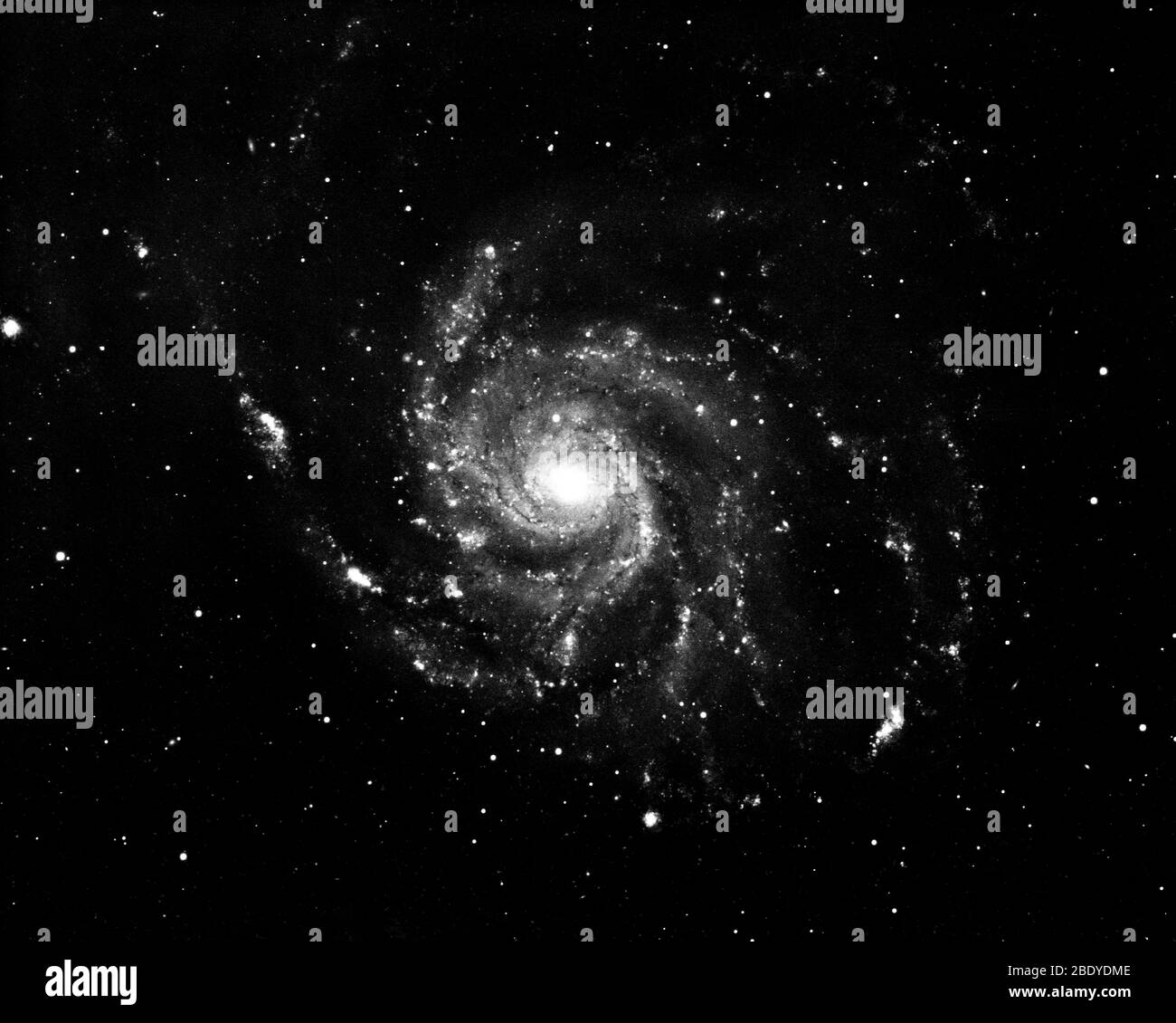 Pinwheel Galaxy, M101, NGC 5457 Stockfoto