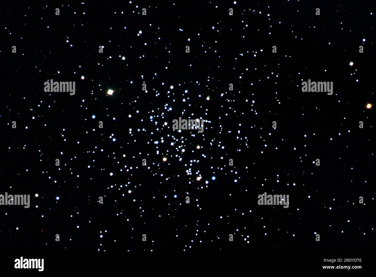 Offener Sternhaufen, M67, NGC 2682 Stockfoto