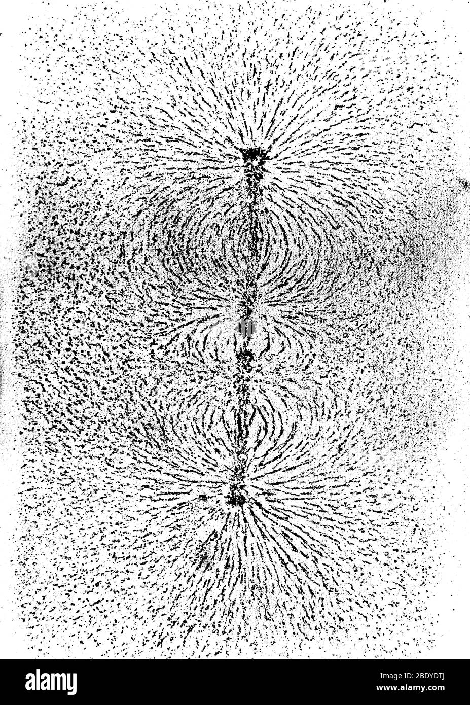 Michael Faraday, Iron Filings Experiment, 1850er Stockfoto
