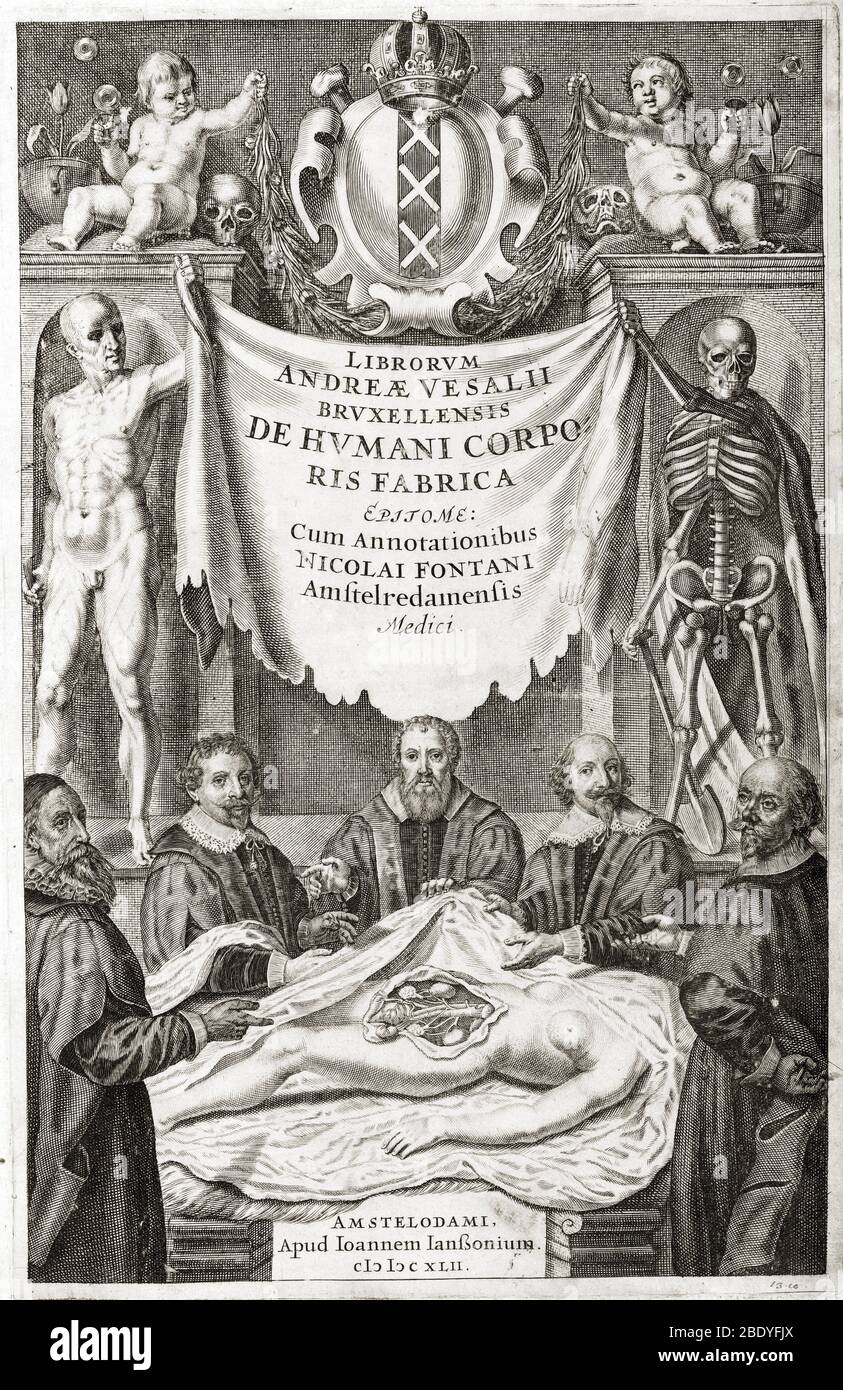 Frontispiz, De Humani Corporis, Vesalius Stockfoto
