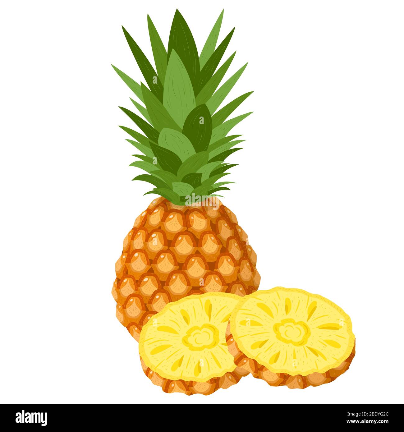 Frische ganze und geschnittene Ringe Ananas Früchte isoliert auf weißem Hintergrund. Sommerfrüchte für einen gesunden Lebensstil. Bio-Obst. Cartoon-Stil. Vektor-Abb. Stock Vektor