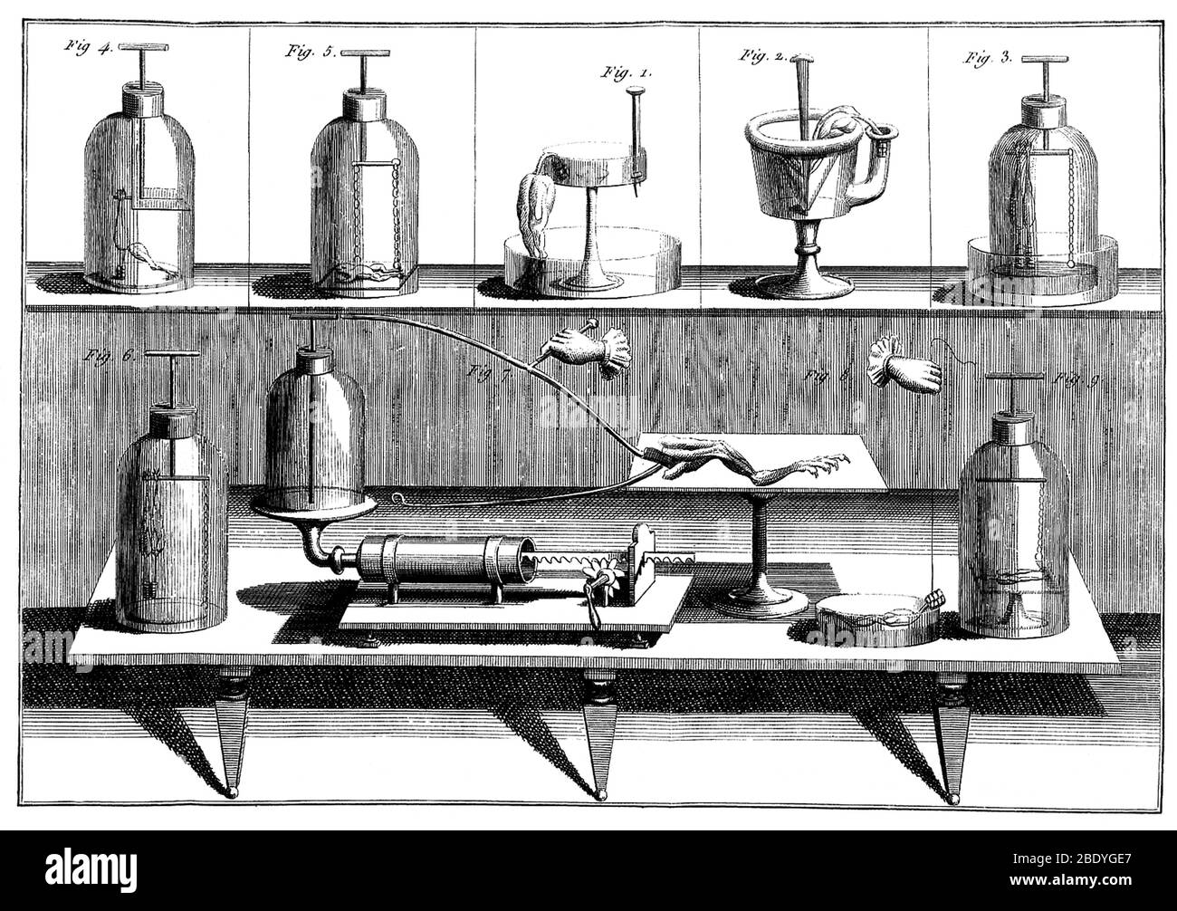 Galvanismus-Experimente, 1804 Stockfoto