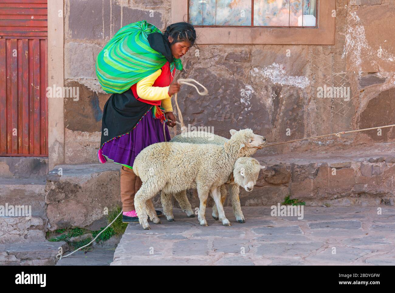 Peruanische Quechua indigene Frau in traditioneller Kleidung mit zwei Schafen, Titicaca See, Isla Taquile, Peru. Stockfoto