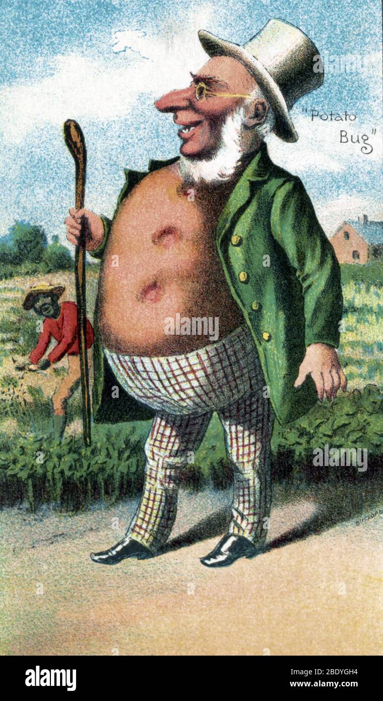 Kartoffel, Bufford's Vegetable Card, 1887 Stockfoto