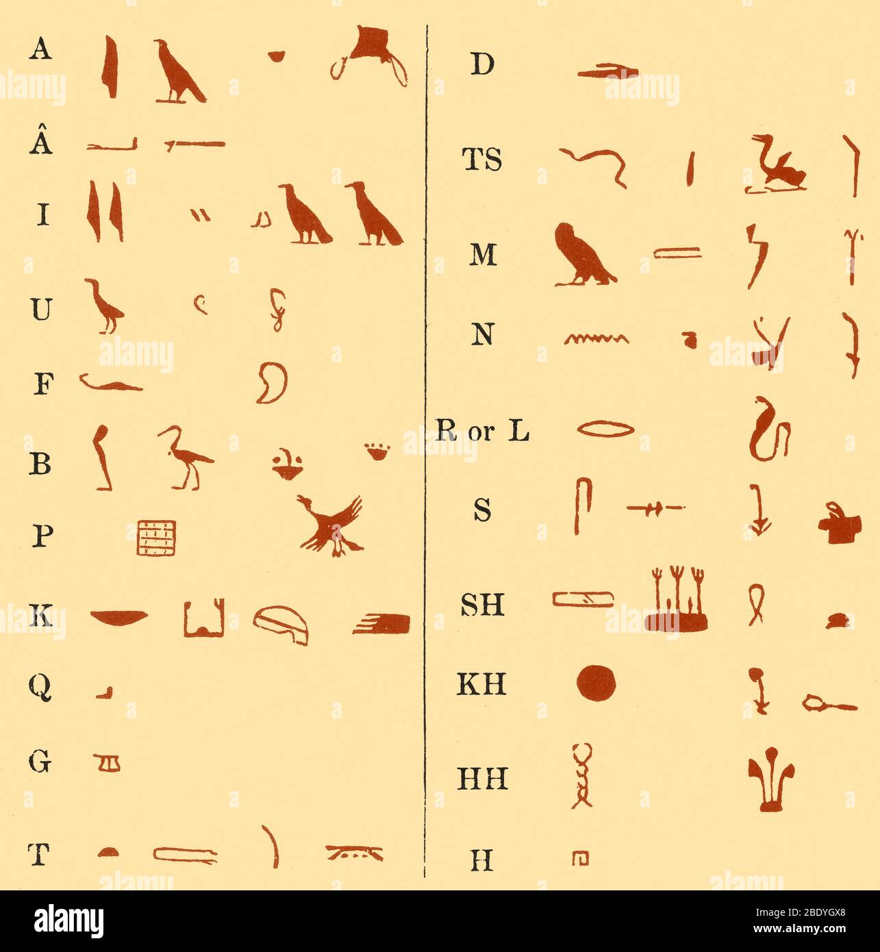 Ägyptische Hieroglyphen Stockfoto