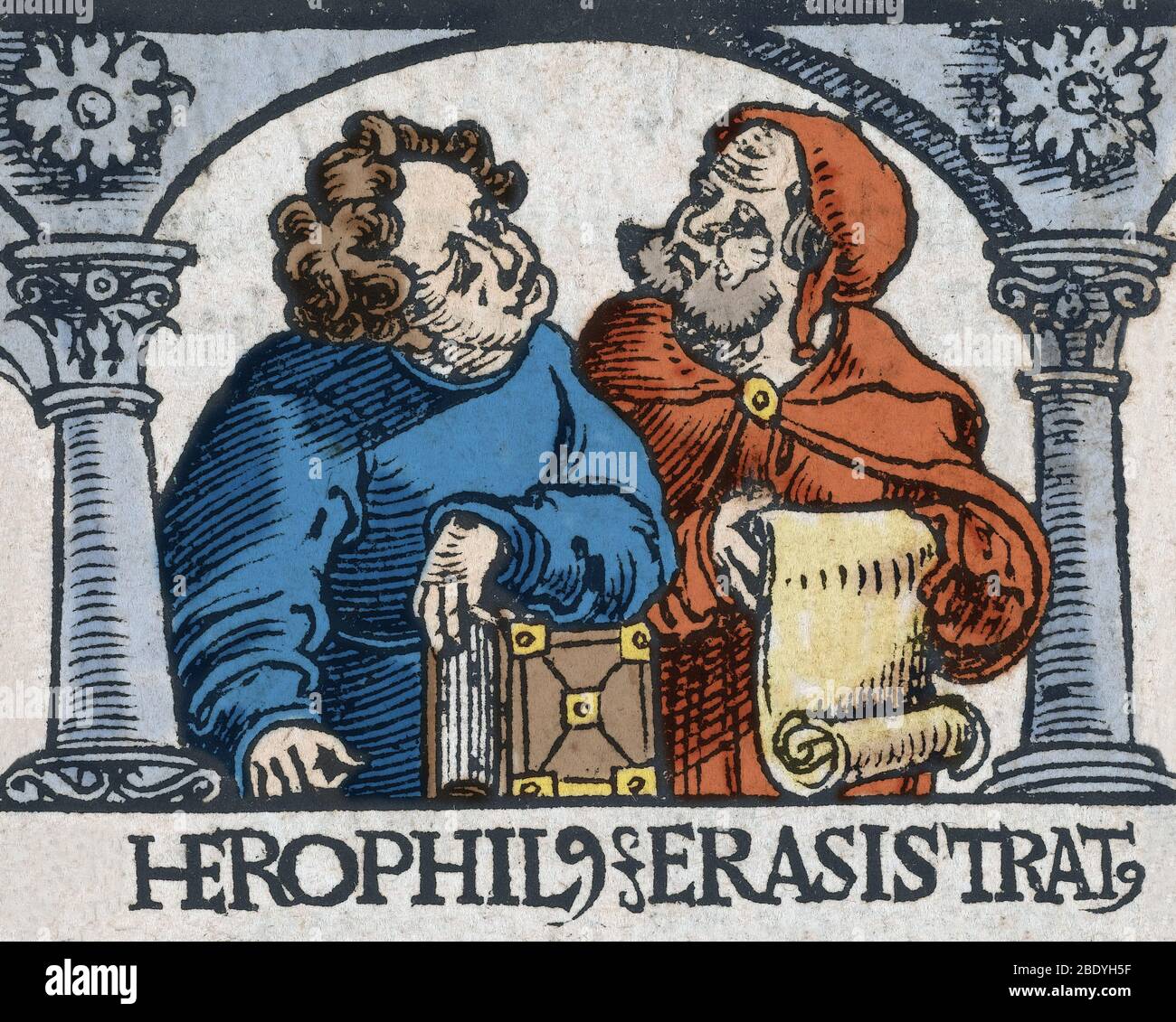 Griechische anatomen Fotos und Bildmaterial in hoher Auflösung Alamy