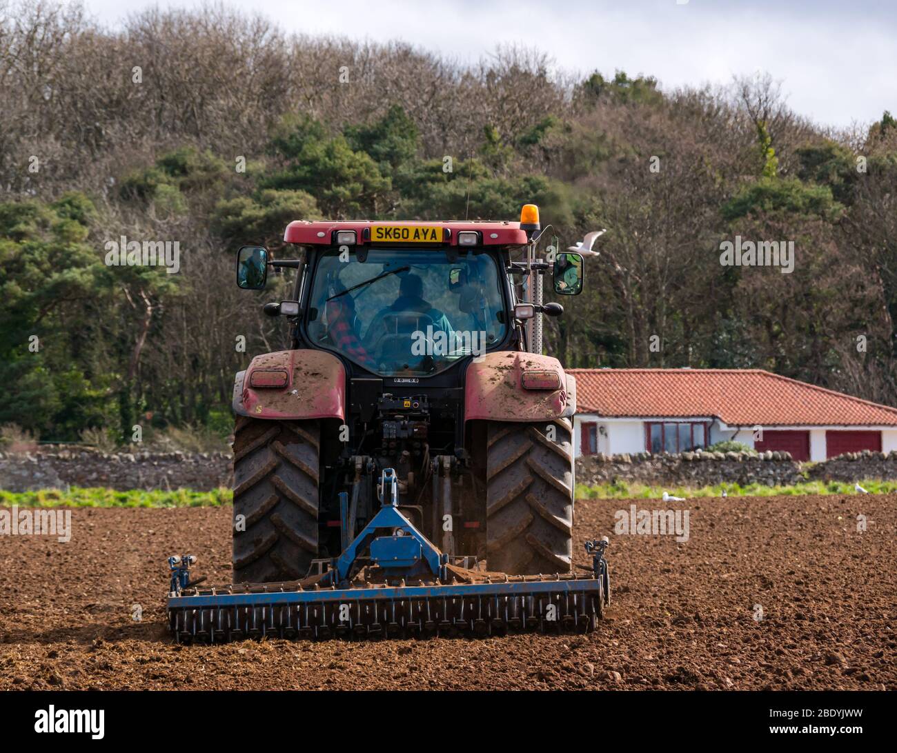 Traktor im Feld in Ackerbaulandschaft, East Lothian, Schottland, Großbritannien Stockfoto