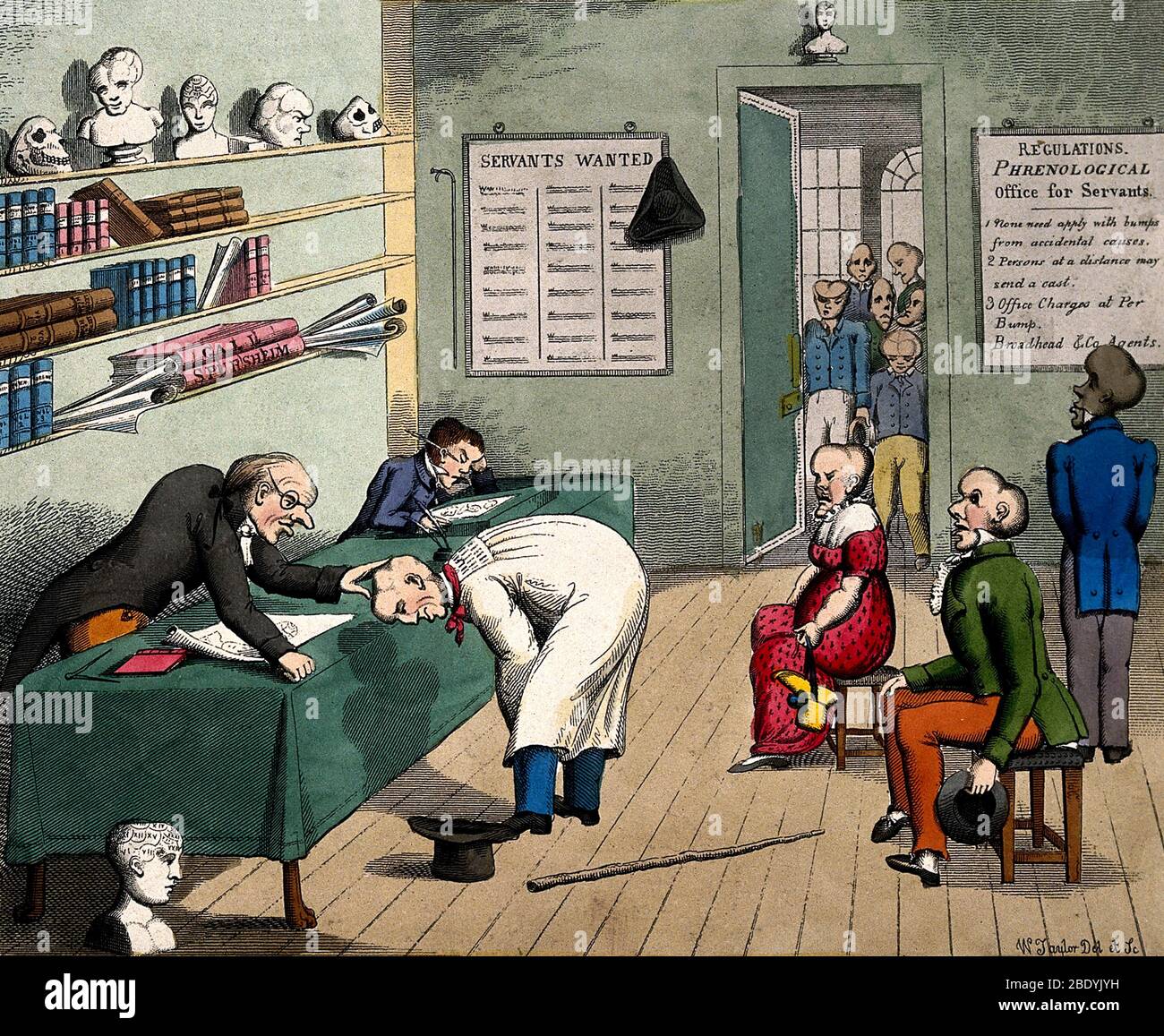 Beschäftigung Agentur Phroenology Exam, 1800s Stockfoto