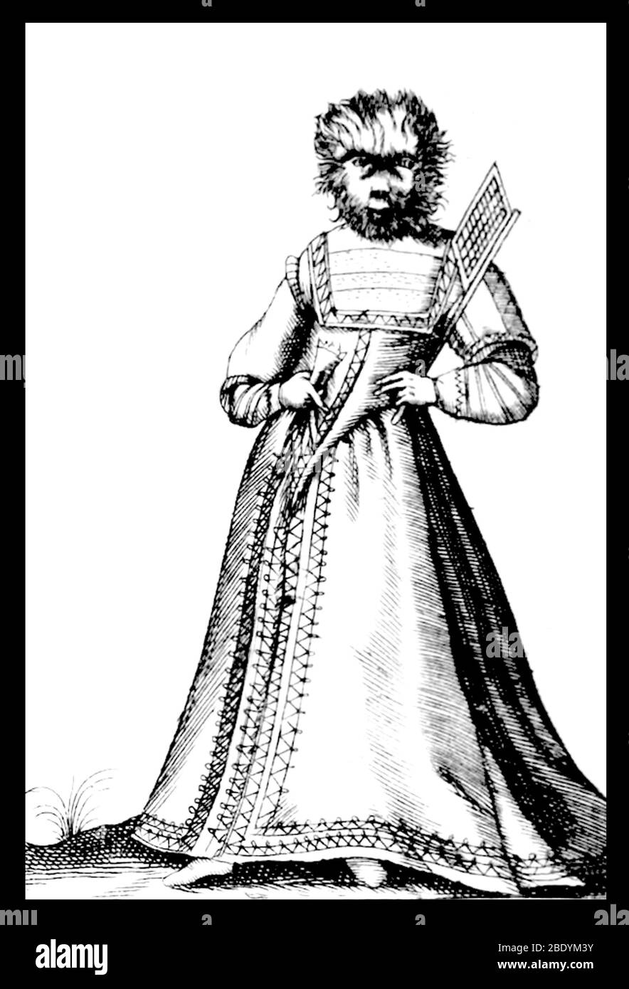 Hypertrichose, 1622 Stockfoto