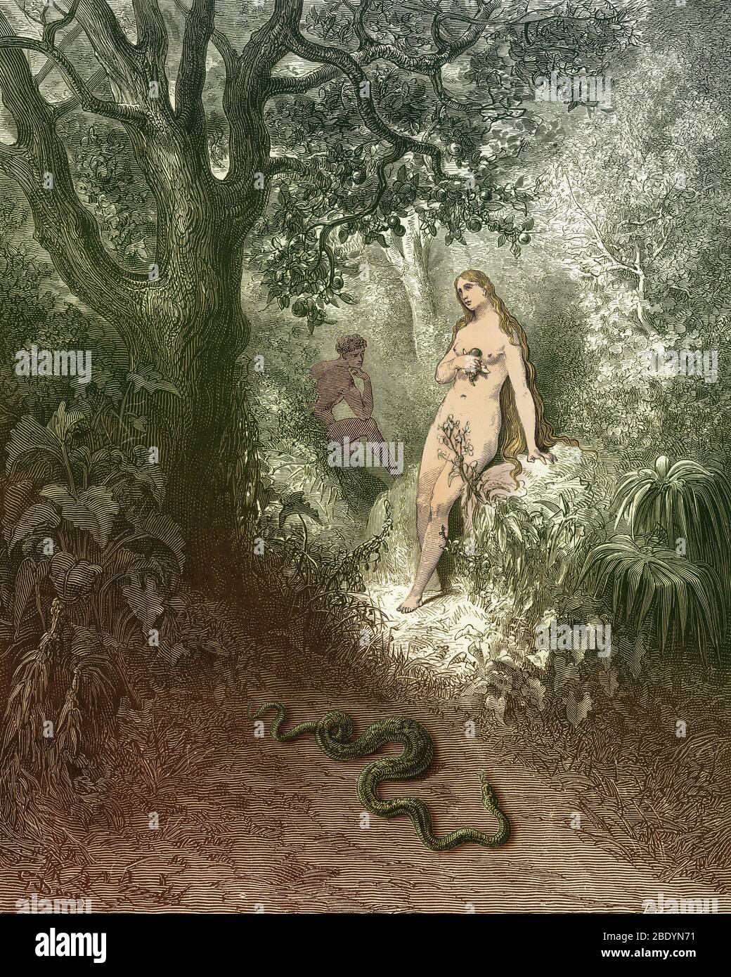 Adam und Eva und Schlange von Dore Stockfoto