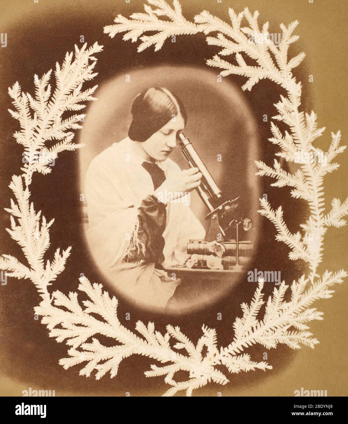 Thereza Dillwyn Llewelyn mit Mikroskop, 1854 Stockfoto