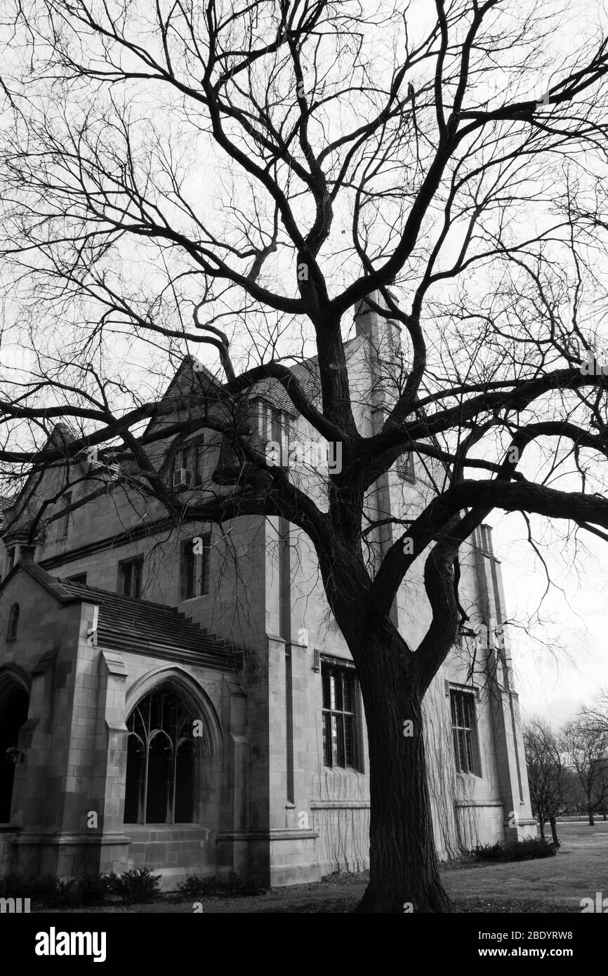 Altes Steinhaus, Chicago, Illinois, USA Stockfoto