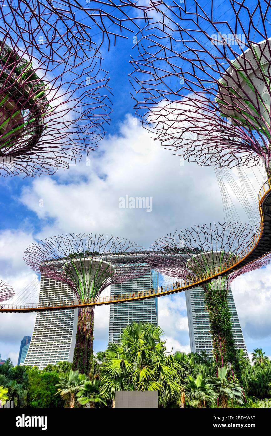 Singapore Supertrees at Gardens by the Bay, Blick von unten. Einzigartige architektonische Konstruktion. Foto mit Unschärfe in Bewegung Stockfoto