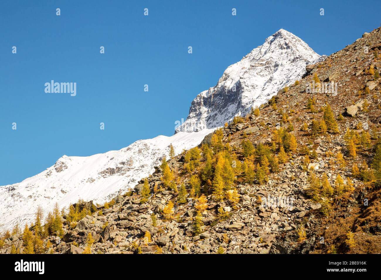 Valmalenco (IT) - herbstliche Aussicht auf den Pizzo Scalino Stockfoto