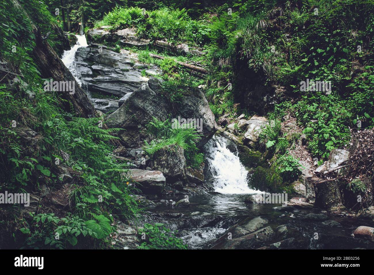 Wasserfall am Berg zwischen Steinen, grünem Gras und Farnen Stockfoto