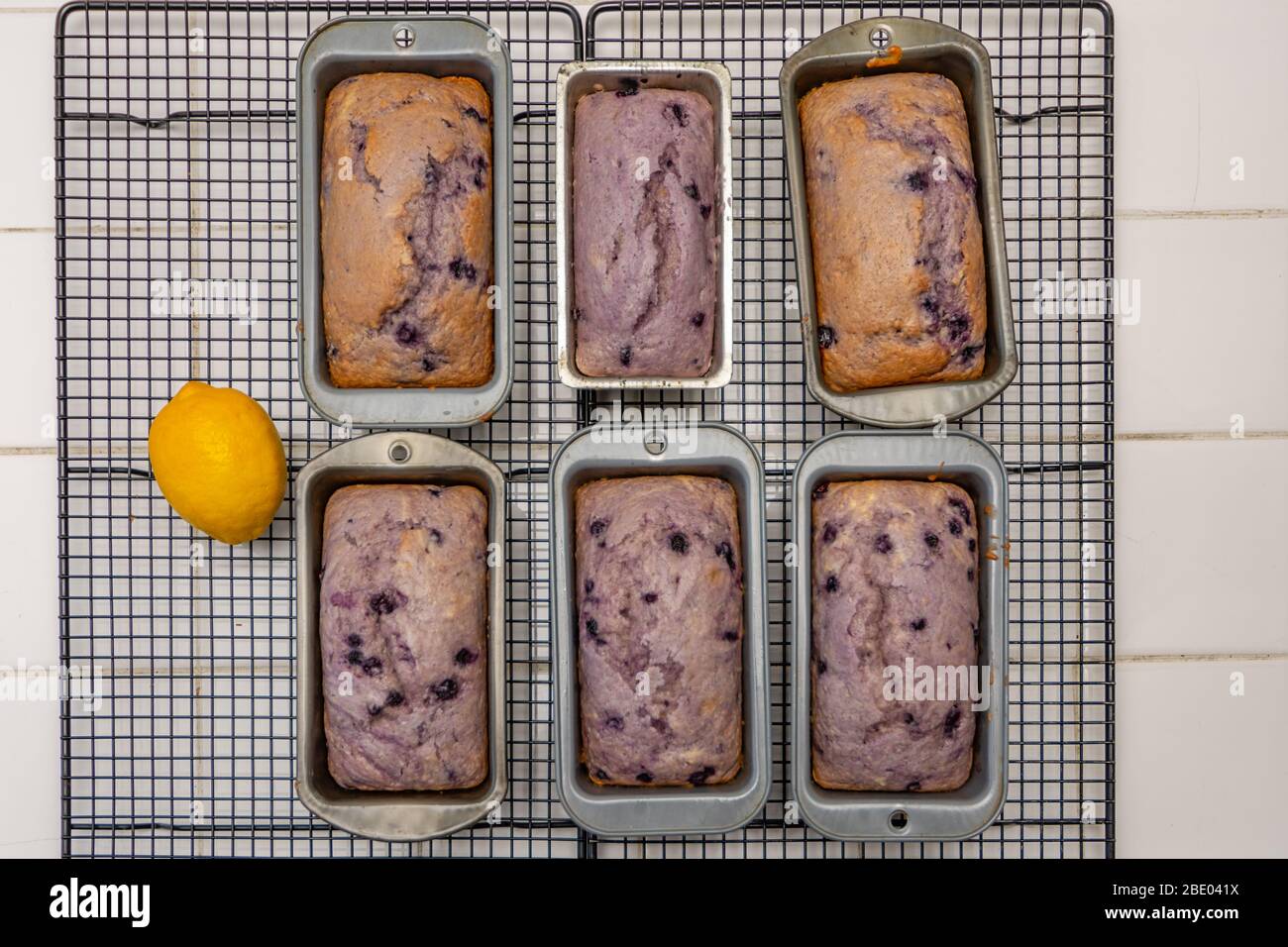 Frisch gebackene Zitronen-Heidelbeer-Kuchen in Metalldosen auf einem Kühlregal Stockfoto