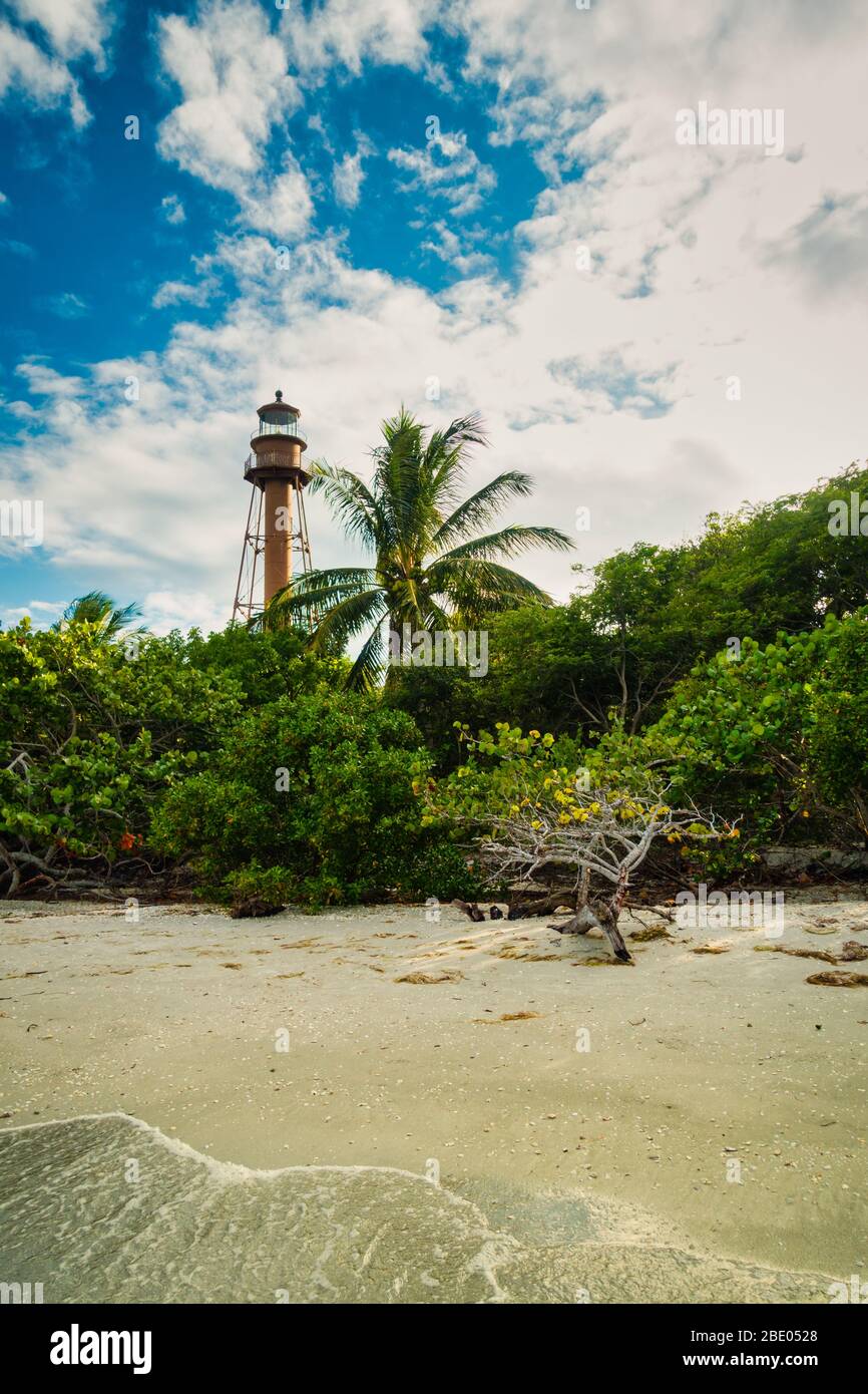 Historischer Leuchtturm am Muschelstrand mit Treibholz und Palmen in Sanibel Island Florida. Sonniger Tag mit grüner Vegetation. Keine Personen sichtbar. Stockfoto