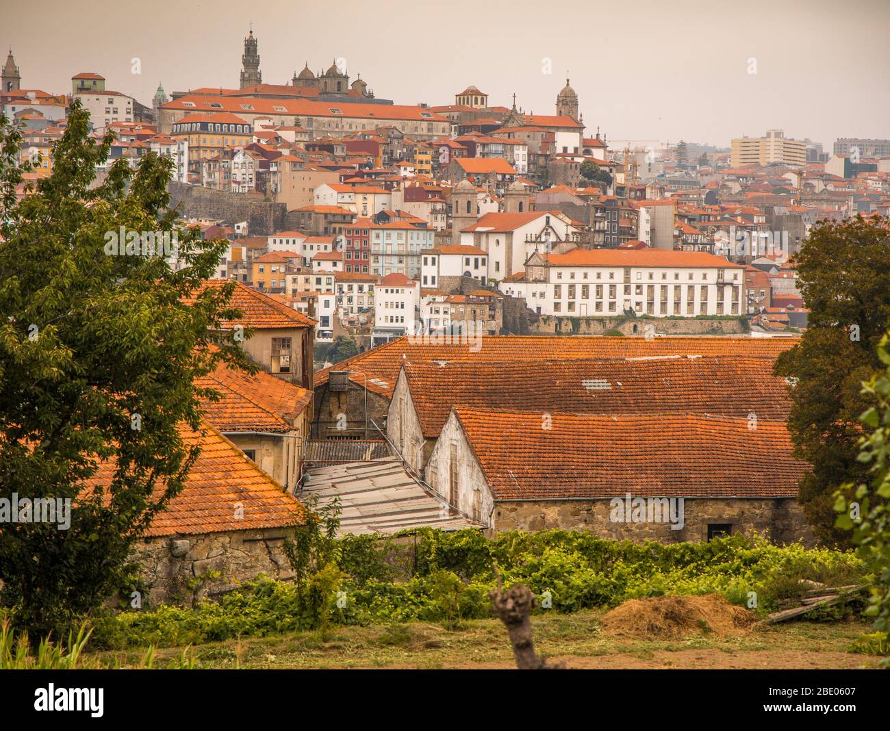 Blick auf Häuser und Dächer von Porto Portugal von Cais de Gaia, Portugal Stockfoto