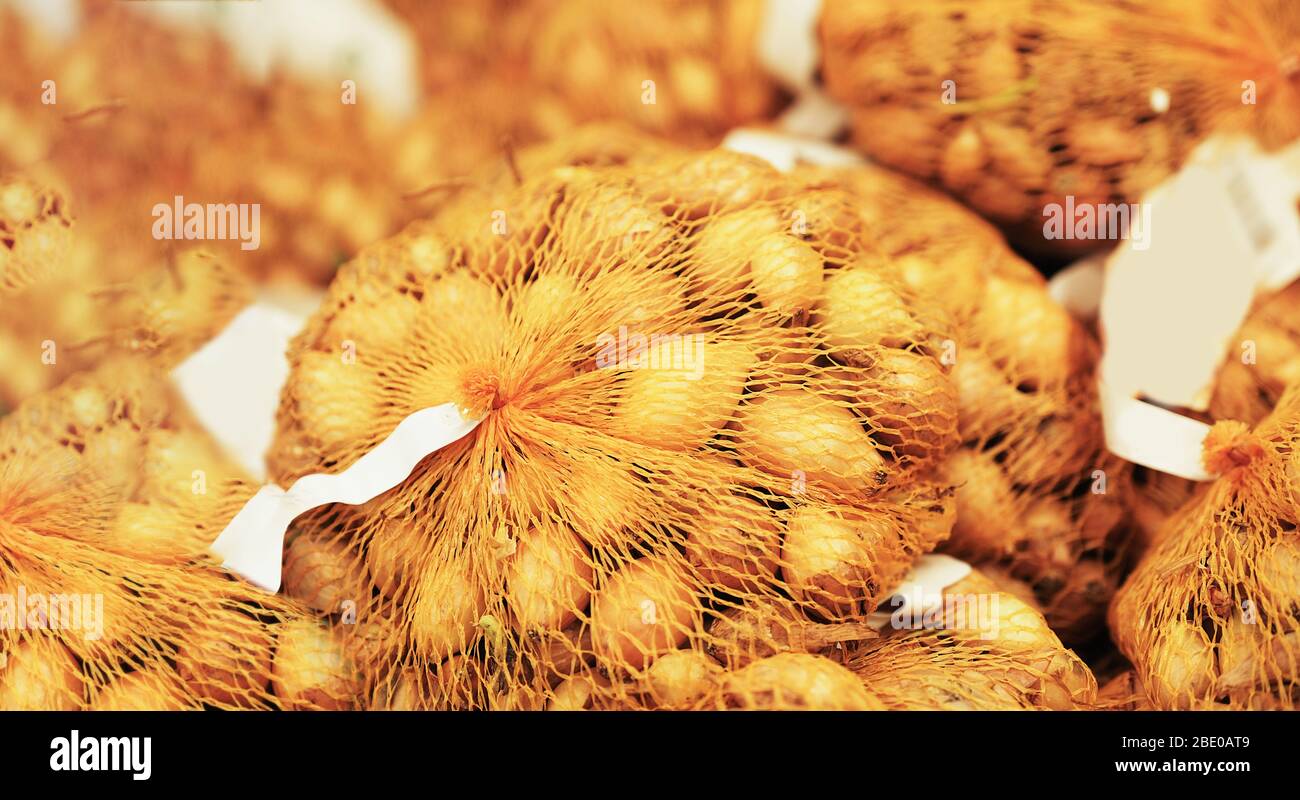 Blumenzwiebeln für die Pflanzung in einem Gitter in einem Geschäft zum Verkauf. Samen für die Pflanzung von Haus- und Gartenpflanzen. Stockfoto