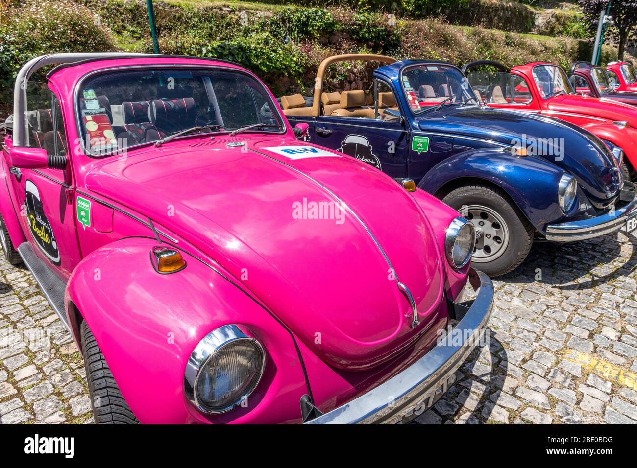 Reihe von bunten VW Käfer Cabrios Tour Autos Stockfoto