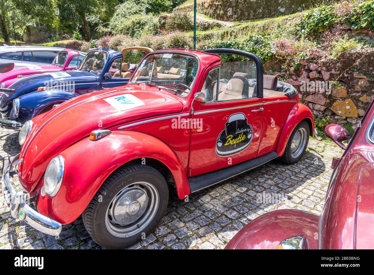 Reihe von bunten VW Käfer Cabrios Tour Autos Stockfoto