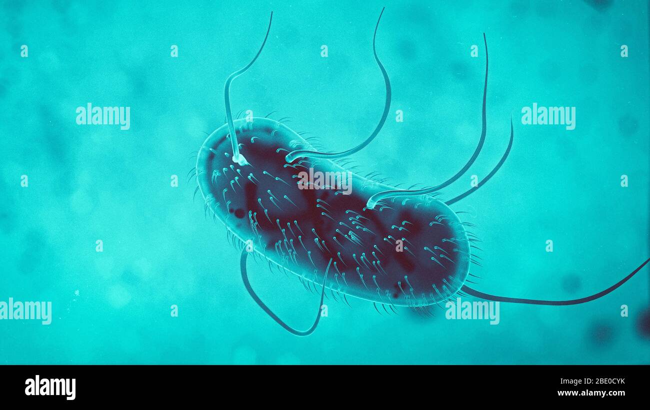 3d Escherichia coli (E. Coli.) Zellen oder Bakterien unter dem Mikroskop. 3d-Darstellung Stockfoto