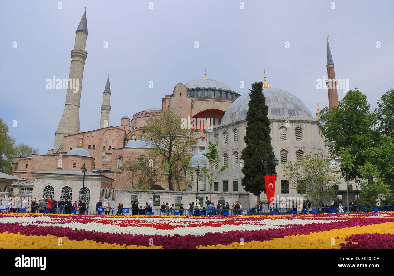 Tulpenteppich vor dem Hagia Sophia Museum in Istanbul, Türkei Stockfoto