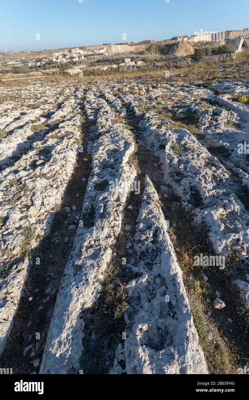 Cart Ruts, Malta, bei Misrah Ghar il-Kbir (Clapham Junction) in der Nähe der Dingli Klippen, möglicherweise Bronzezeit Stockfoto