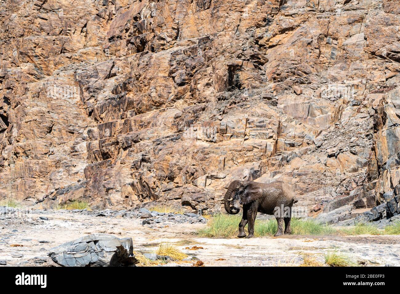 Ein Elefant kühlt sich mit Wasser in einem heißen Canyon ab Stockfoto