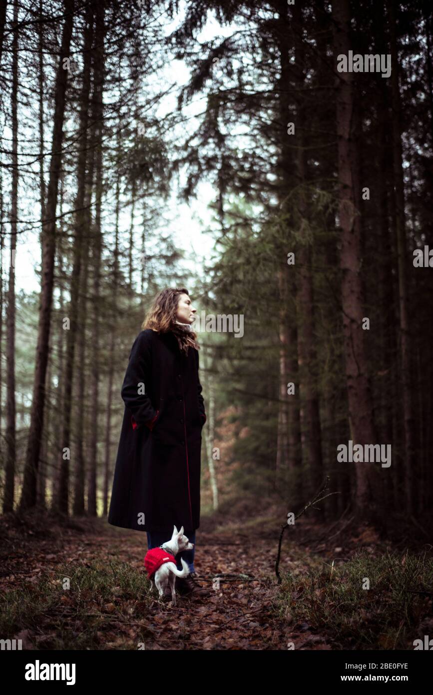 Schöne junge natürliche Frau steht mit kleinen Hund in den tiefen Wäldern Stockfoto