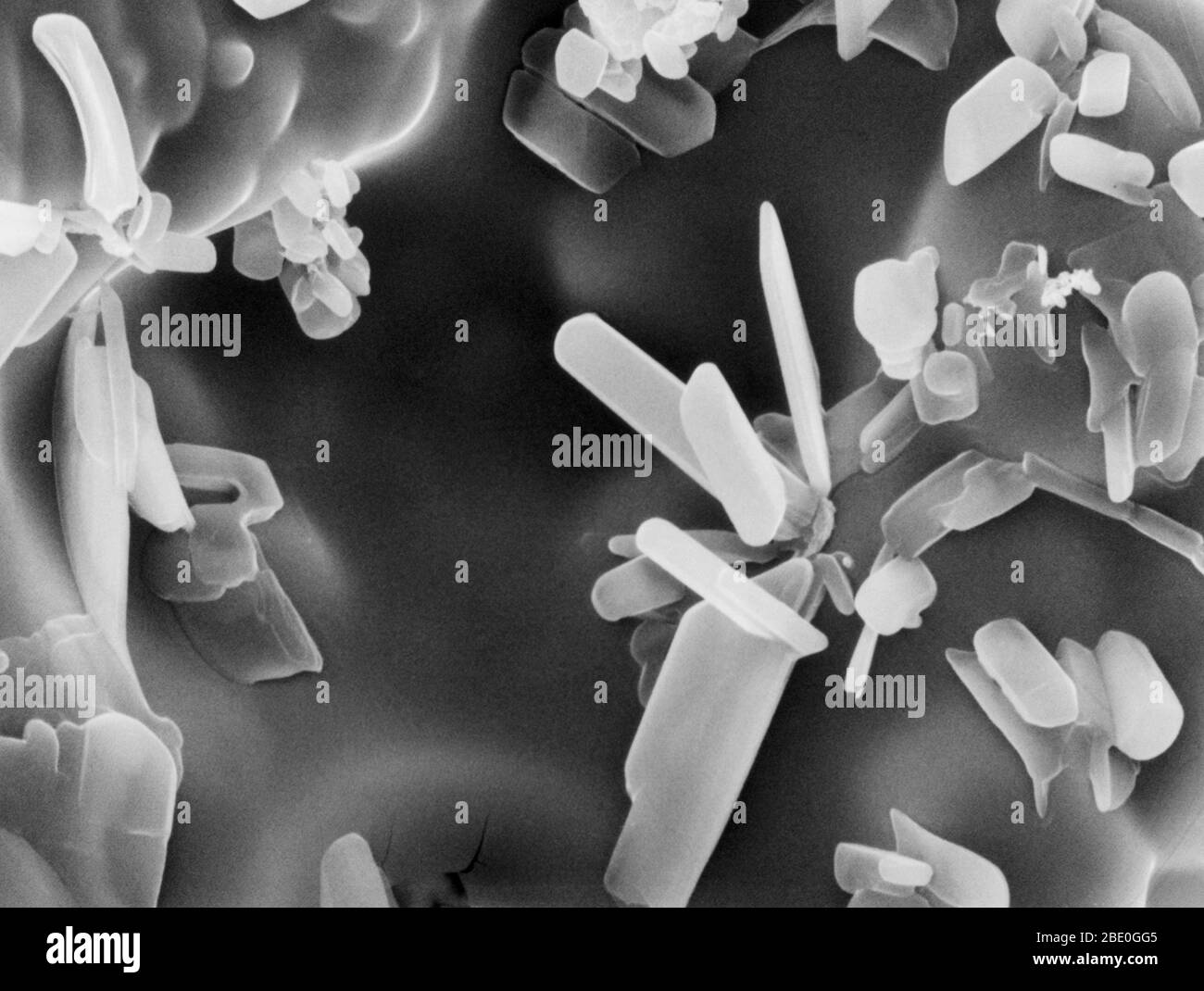 Scannen von Elektronenmikrographen (SEM) eines Aspirin-Tabletts. Die facettierten Strukturen sind Kristalle, die auf der Tablettenoberfläche üblich sind. Vergrößerung: 4.000-fach bei 8x10'. Stockfoto