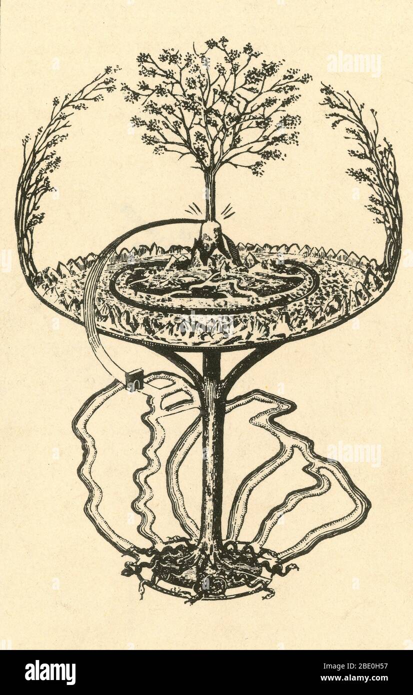 Yggdrasil, die große Esche, symbolisiert das Universum. An ist ein immenser Baum, der in der nordischen Kosmologie zentral ist, in Verbindung mit dem die neun Welten existieren. Die Asche verströmt eine zuckerhaltige Substanz, die, wie vorgeschlagen, fermentiert wurde, um den Norse Mead of Inspiration zu schaffen. In der nordischen Mythologie wird der Weltbaum Yggdrasil allgemein als Esche gehalten, und der erste Mann, Ask, wurde aus einer Esche gebildet. Anderswo in Europa wurden Schlangen angeblich durch Eschenblätter oder einen Kreis abgestoßen, der von einem Aschezweig gezeichnet wurde. Irische Folklore behauptet, dass Schatten von einer Esche die Ernte beschädigen würden. In Cheshire Stockfoto