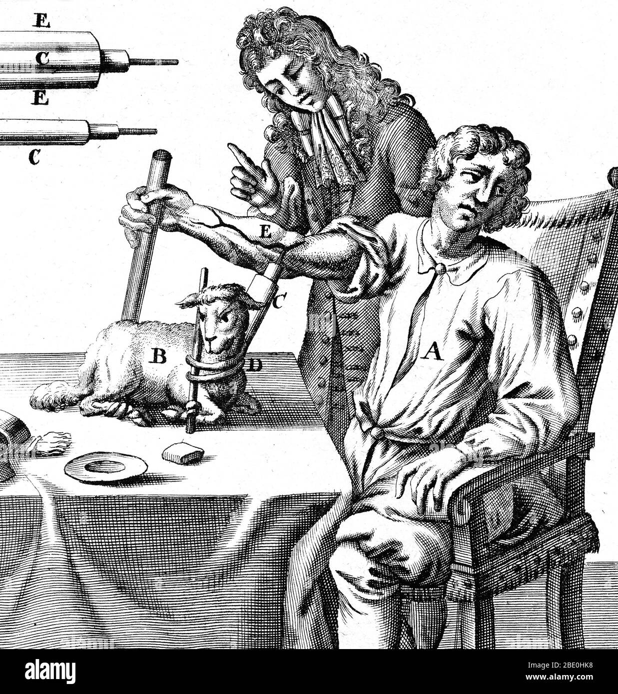 Frühe Bluttransfusion. Historische Kunstwerke des englischen Physiologen Richard Lower (1631-1691), der 1667 Blut von einem Lamm in den Arm eines Mannes transfusing. Das Ende der Röhre, die zur Punktion der Blutgefäße und zur Blutübertragung verwendet wird, befindet sich oben links. Lower First zeigte die Transfusion von Blut von der Arterie eines Hundes in die Vene eines anderen im Jahr 1665. Spätere Versuche anderer, von Tieren auf Menschen umzutransfusionieren, führten zu einigen Todesfällen. Lower's Abhandlung über das Herz beschreibt das Herz als muskuläre Pumpe und nicht als ein Organ, das von Geistern 'aufgeblasen' wird. Er zog daraus das helle Rot des arteriellen Blutes Stockfoto