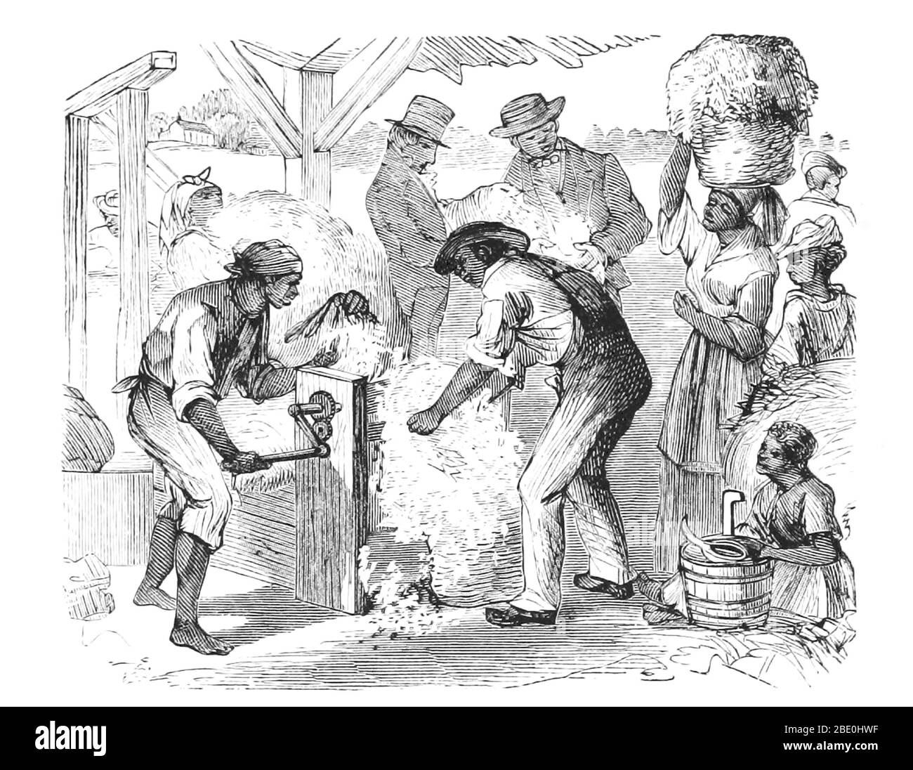 Ein Baumwollgin ist eine Maschine, die Baumwollfasern schnell und einfach von ihren Samen trennt und somit eine viel höhere Produktivität als die manuelle Baumwolltrennung ermöglicht. Die Fasern werden zu Kleidung oder anderen Baumwollprodukten verarbeitet, und jede unbeschädigte Baumwolle wurde für Kleidung verwendet. Samen können verwendet werden, um mehr Baumwolle anzubauen oder Baumwollsaatöl und -Mehl zu produzieren. Der erste moderne mechanische Baumwollgin wurde 1793 von Eli Whitney kreiert und 1794 patentiert. Es verwendete eine Kombination aus einem Drahtsieb und kleinen Drahthaken, um die Baumwolle durchzuziehen, während Bürsten kontinuierlich die losen Baumwollflusen entfernten, um zu verhindern Stockfoto