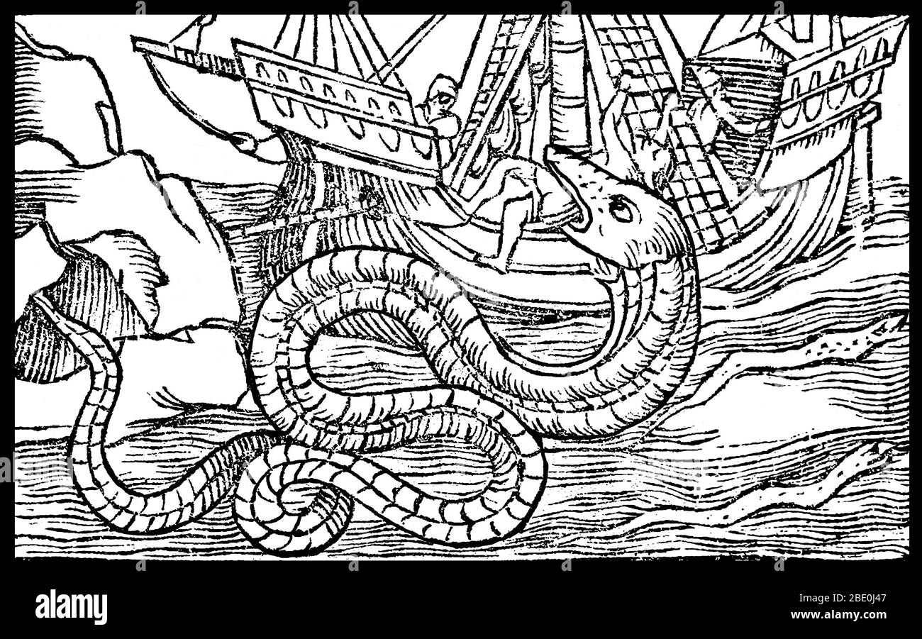 Meeresmonster sind mythische oder legendäre Kreaturen, die oft von immenser Größe angenommen werden. Meeresmonster können viele Formen annehmen, einschließlich Seedrachen, Seeschlangen oder mehrarmige Tiere. Sie können schleimig oder schuppig sein und werden oft als bedrohende Schiffe oder spuckende Wasserstrahlen dargestellt. Bild erschien in 'Historiae de gentibus septentrionalibus', 1557. Stockfoto
