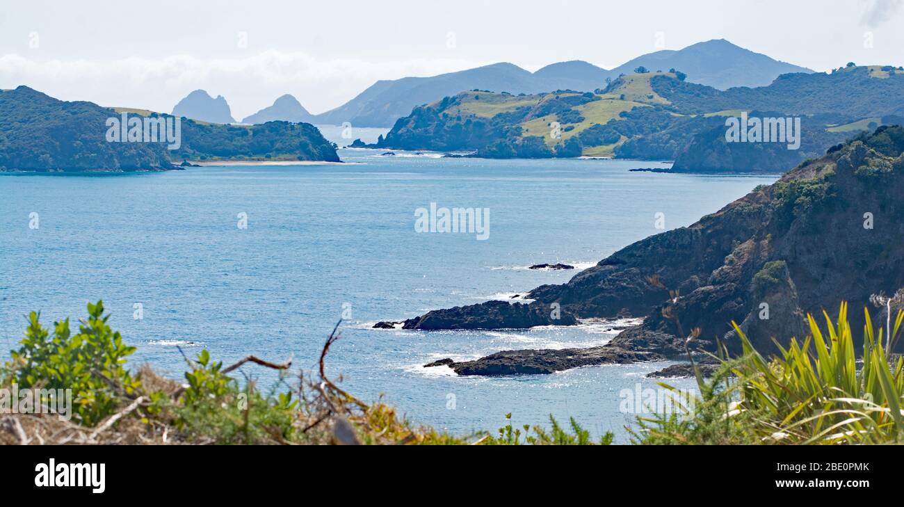 Moturua Island Buschwandergang Bay of Islands Neuseeland Blick in Richtung Cape Brett Stockfoto