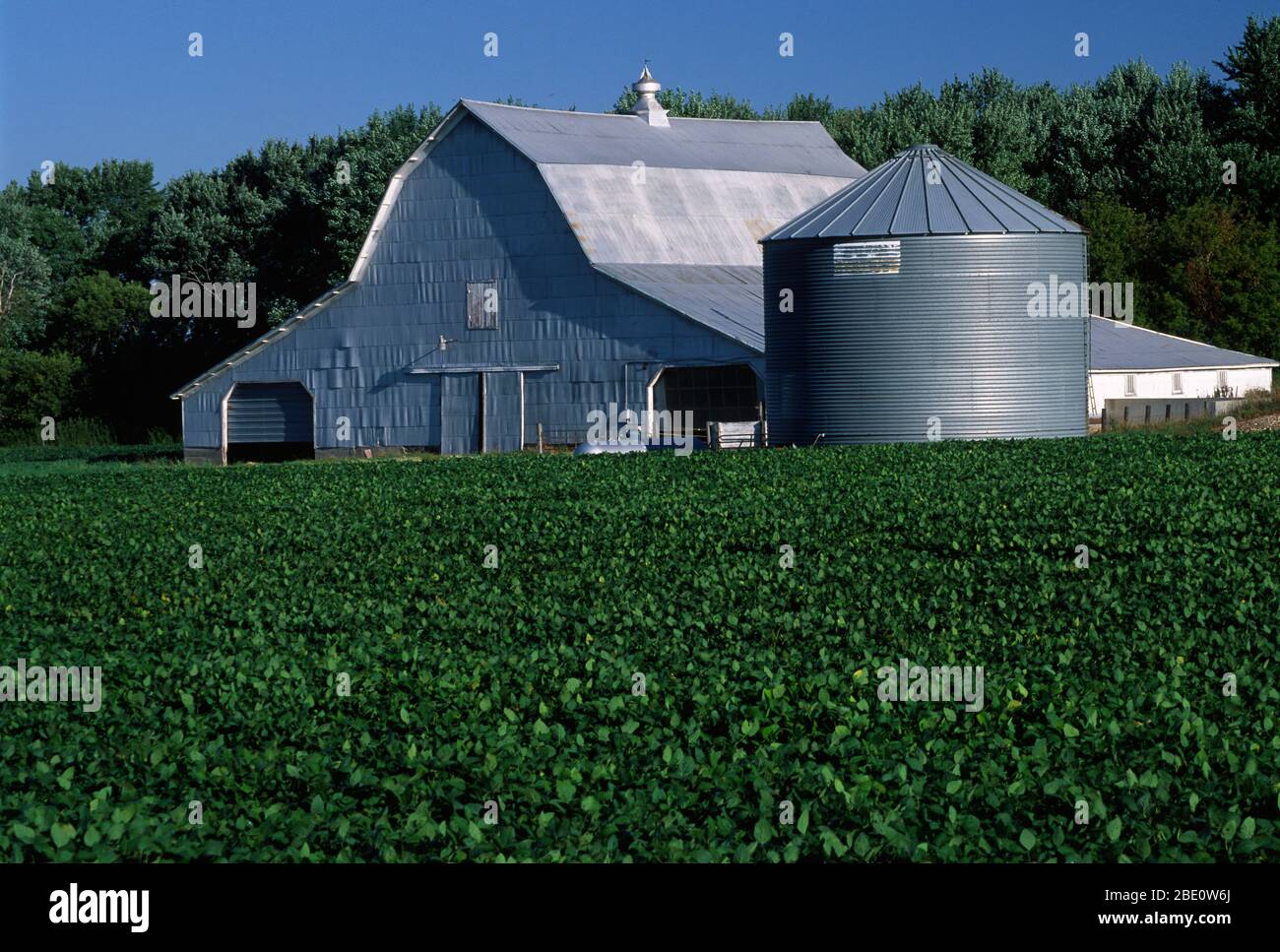 Barn, Pipestone County, Minnesota Stockfoto