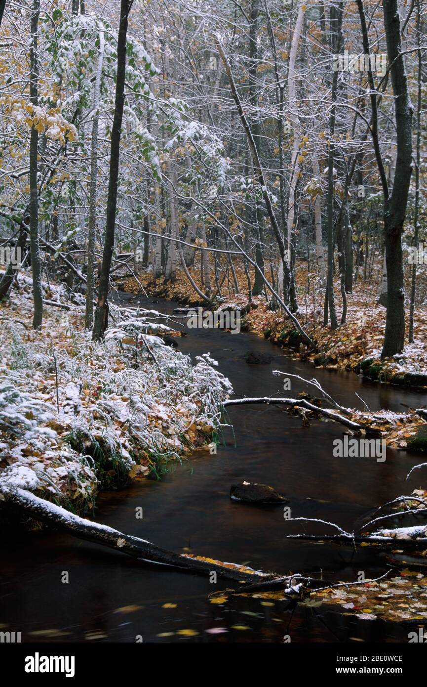 Windmill Creek im Herbstschnee, Audubon Center of the North Woods, Minnesota Stockfoto