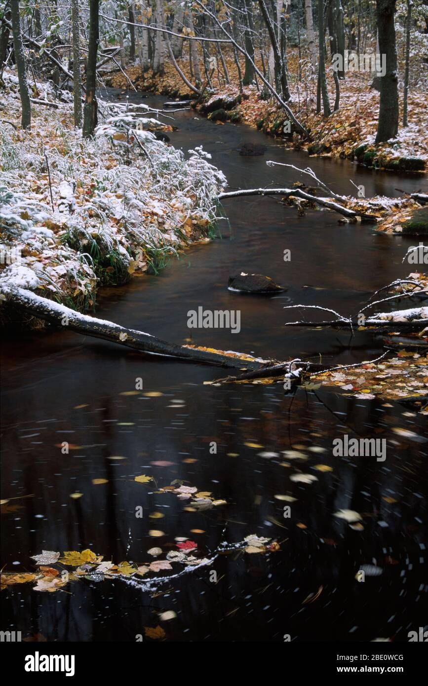 Windmill Creek im Herbstschnee, Audubon Center of the North Woods, Minnesota Stockfoto
