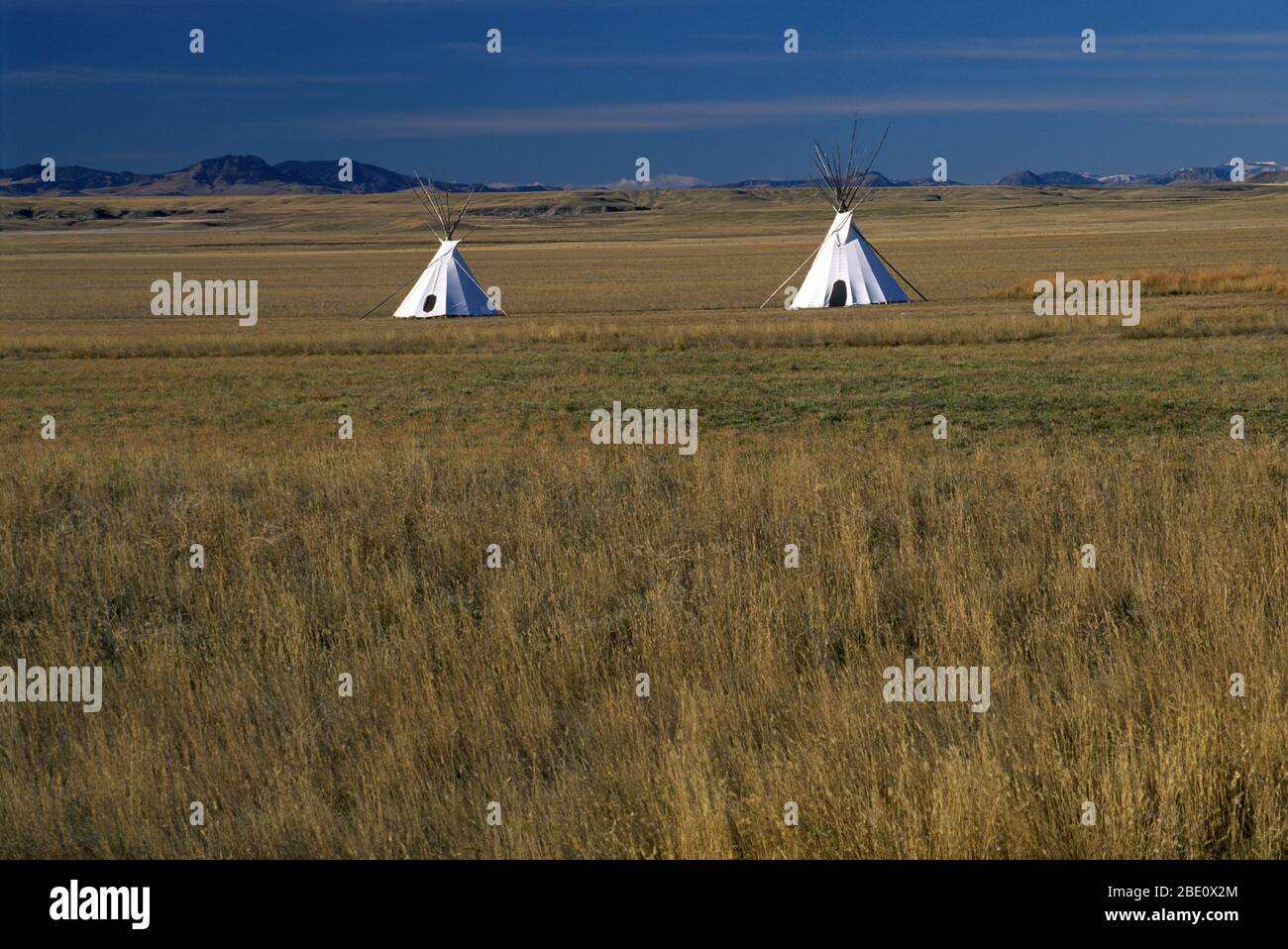 Tipi, Ulm Pishkun State Park, Montana Stockfoto