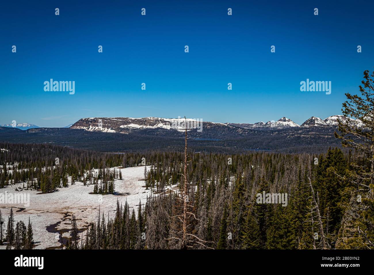 Blick von der Mirror Lake Scenic Byway in der Nähe Bald Mountain Pass in der uinta Berge von Utah. Stockfoto