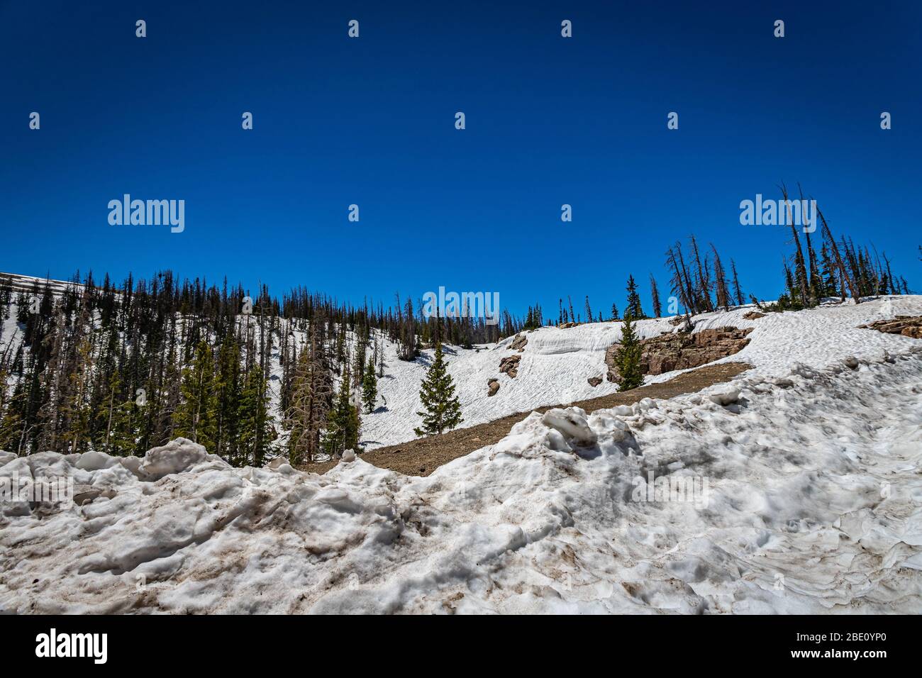 Blick von der Mirror Lake Scenic Byway in der Nähe Bald Mountain Pass in der uinta Berge von Utah. Stockfoto