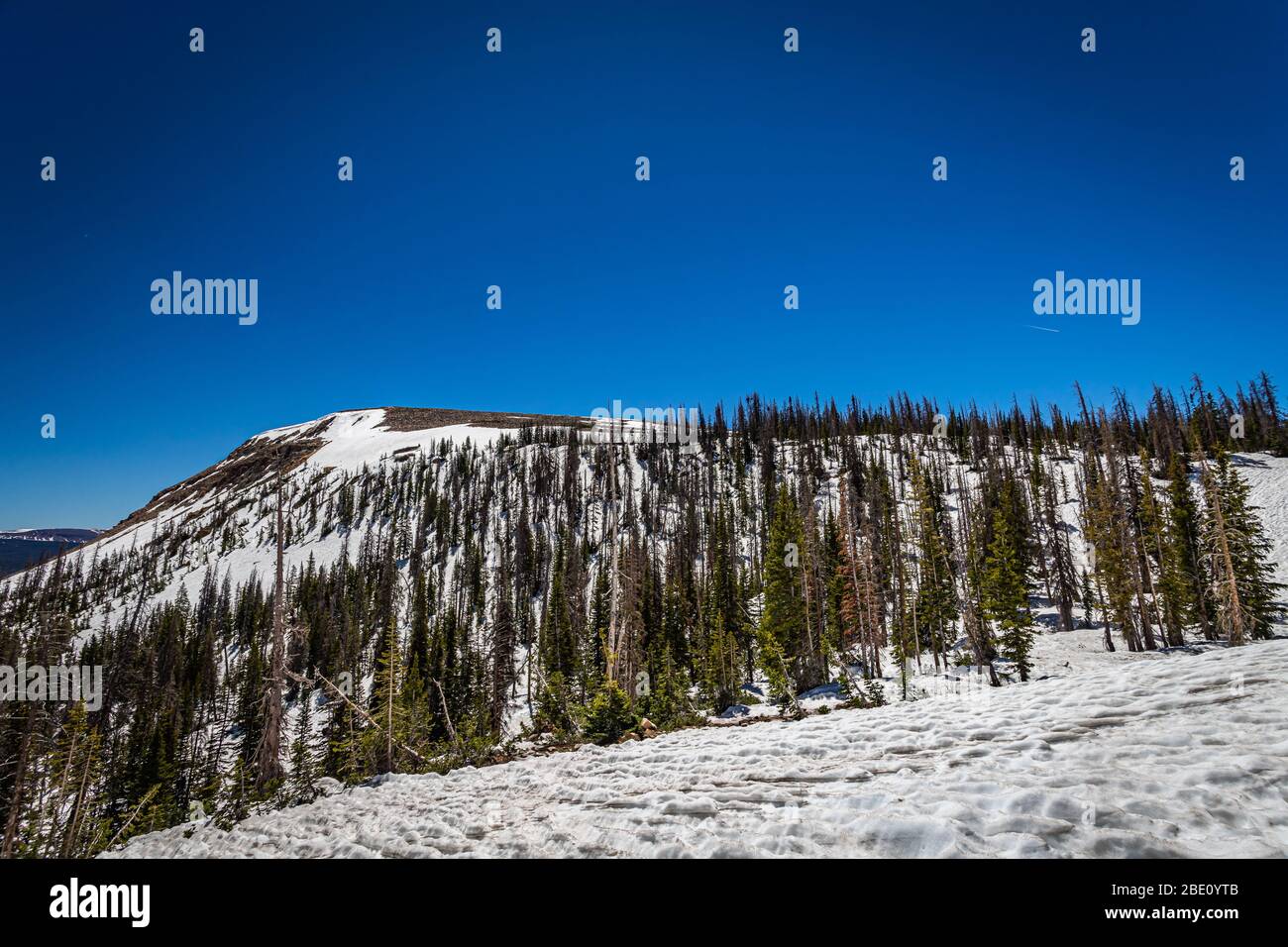 Blick von der Mirror Lake Scenic Byway in der Nähe Bald Mountain Pass in der uinta Berge von Utah. Stockfoto