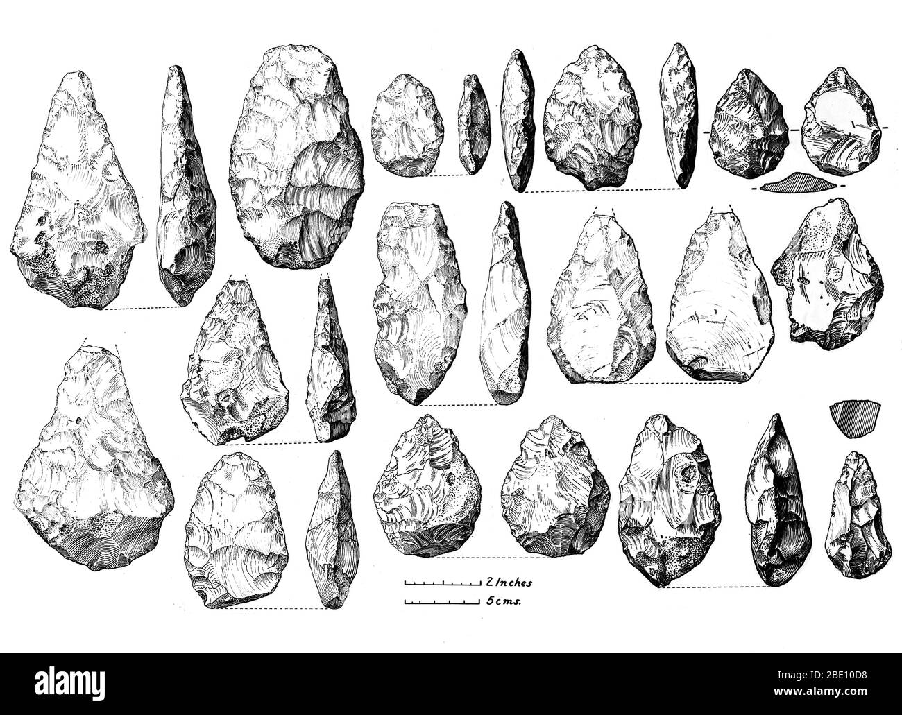 Acheulean bifacial Tools (Hand-Axes) von Burnham Beeches, Bucks. Obere Boyn Hill Terrasse. Acheulean ist eine archäologische Industrie der Steinwerkzeuge Herstellung durch markante ovale und birnenförmige "Hand-Achsen" mit frühen Menschen verbunden gekennzeichnet. Acheulean Werkzeuge wurden während der unteren Paläolithikum-Ära hergestellt. Das untere Paläolithikum ist die früheste Unterteilung des Paläolithikums oder der alten Steinzeit. Sie reicht von vor rund 2.5 Millionen Jahren, als die ersten Zeugnisse von Handwerk und Einsatz von Steinwerkzeugen durch Hominiden in der aktuellen archäologischen Ureinlage erscheinen, bis vor etwa 300,000 Jahren. Stockfoto