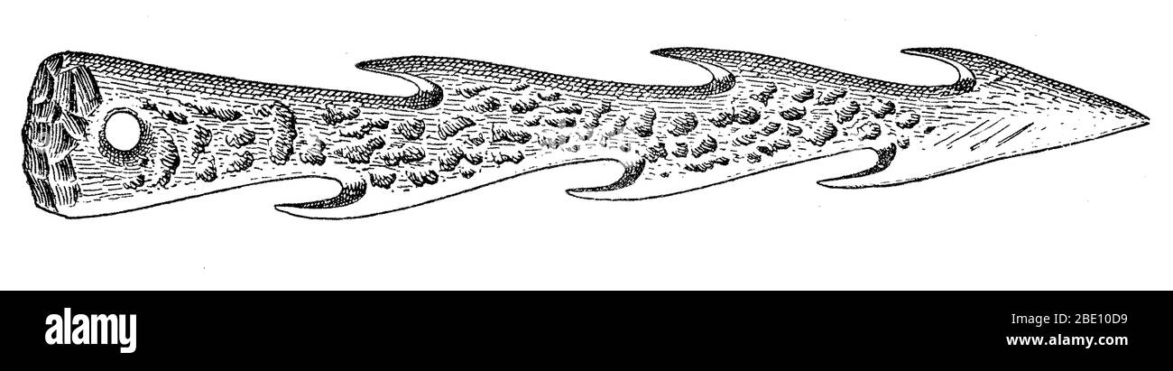 Stachelspitze (Harpune) des Geweihers, wahrscheinlich Bronzezeit. Von See-Wohnung in Latringen, Schweiz. Die Bronzezeit fällt in den Zeitraum von 3200 bis 600 v. Chr.. Stockfoto