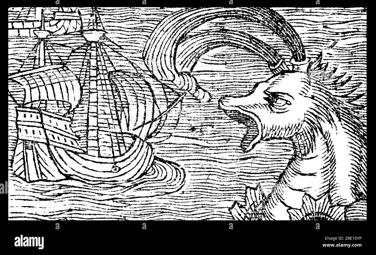 Meeresmonster sind mythische oder legendäre Kreaturen, die oft von immenser Größe angenommen werden. Meeresmonster können viele Formen annehmen, einschließlich Seedrachen, Seeschlangen oder mehrarmige Tiere. Sie können schleimig oder schuppig sein und werden oft als bedrohende Schiffe oder spuckende Wasserstrahlen dargestellt. Bild erschien in 'Historiae de gentibus septentrionalibus', 1557. Stockfoto